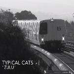 Typical Cats - Zulu